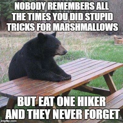 Justice for Bears. - meme