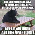 Justice for Bears.