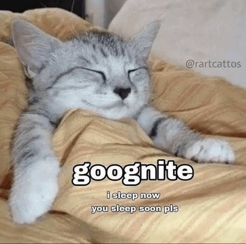 gn - meme