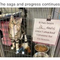 commented item thumbnail