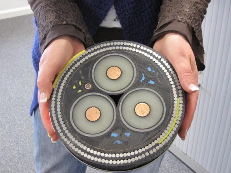 A cross-section of an undersea cable - meme