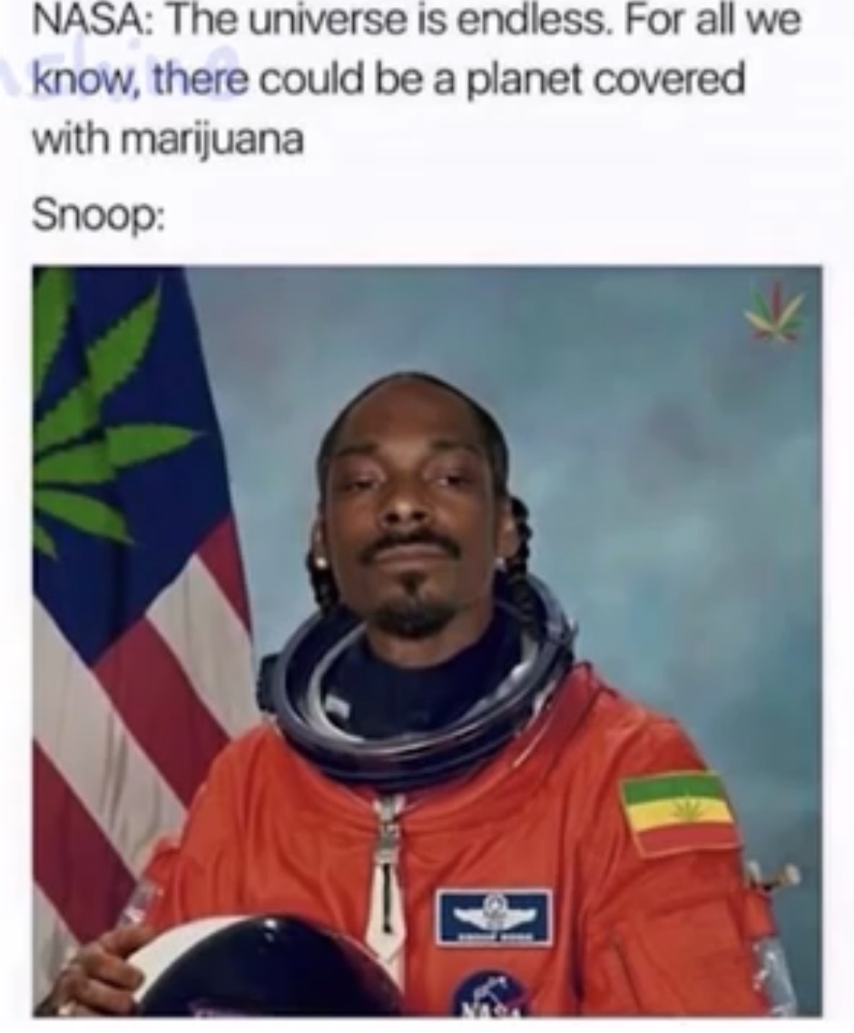 Snoop the astronaut - meme