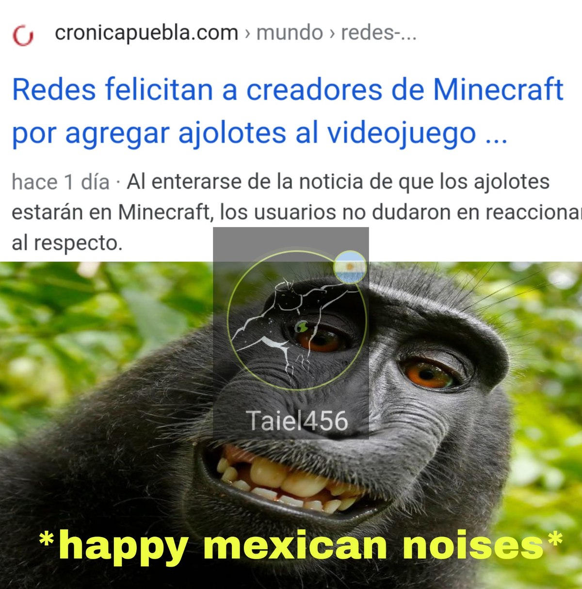Mexichangos felices - meme