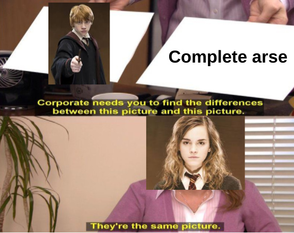 A humorous harry potter meme with ron weasley and hermione granger