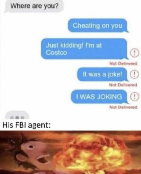 FBI guy: My work here is done. im now fucking off to disneyland now - meme