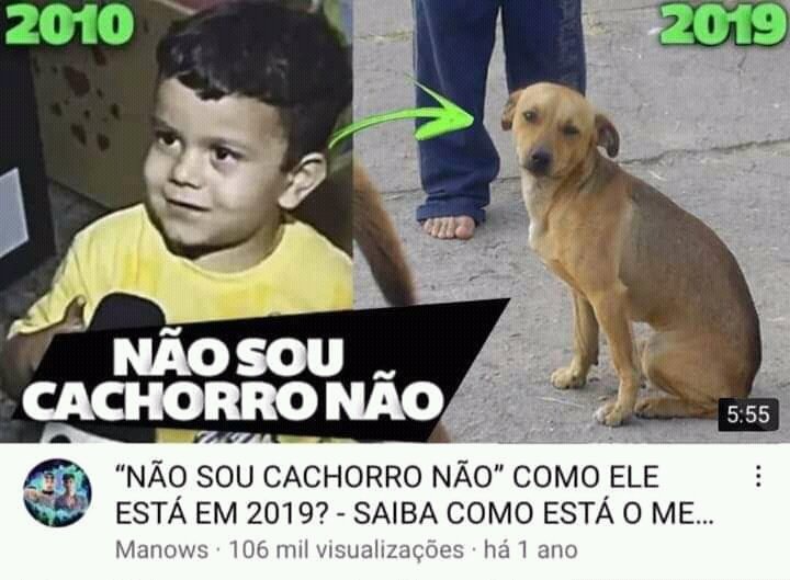 GMKrikor - Eu não sou cachorro não.