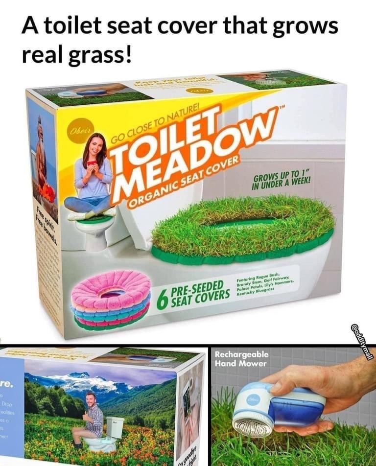 You need to touch grass - meme