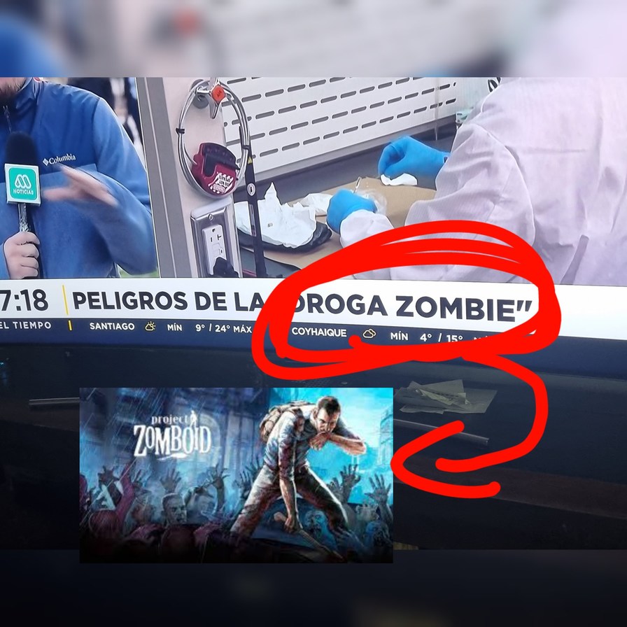 El proyect zomboid es real - meme