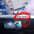 El proyect zomboid es real