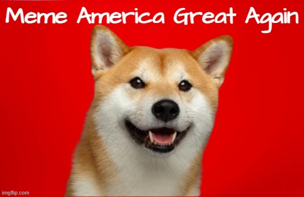 Meme America Great Again by DogePadre