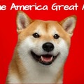 Meme America Great Again by DogePadre