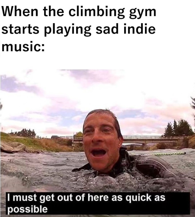 No thanks - meme
