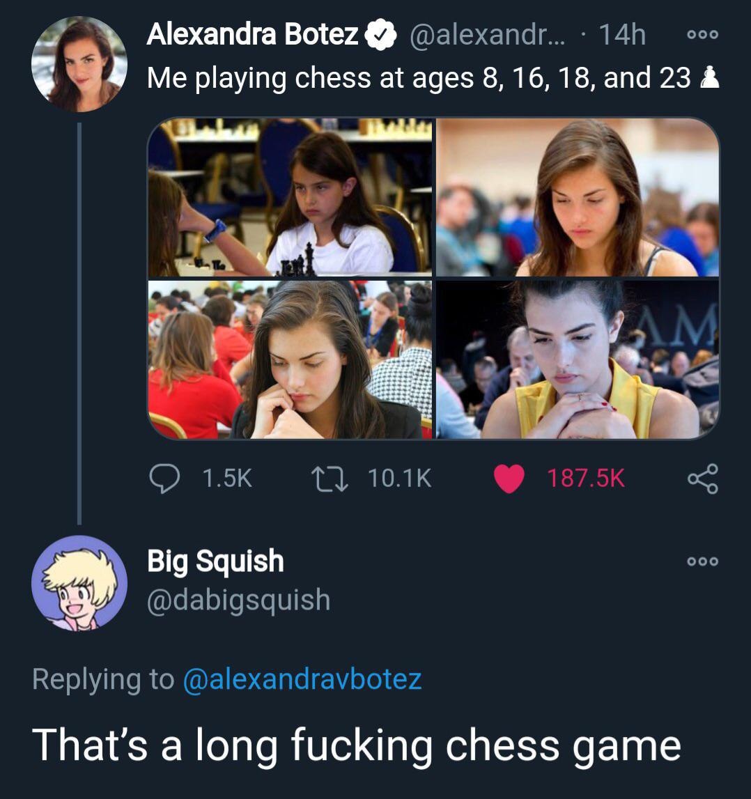 That chess game lasted 15 years? - meme