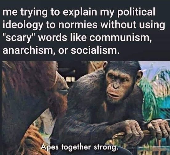 apes together - meme