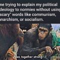 apes together