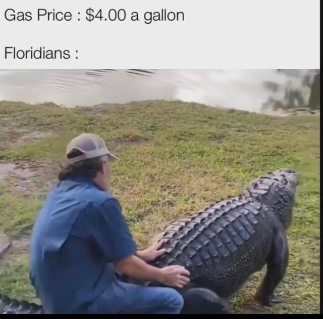 Now that gas prices are so high, Floridians are riding alligators - meme