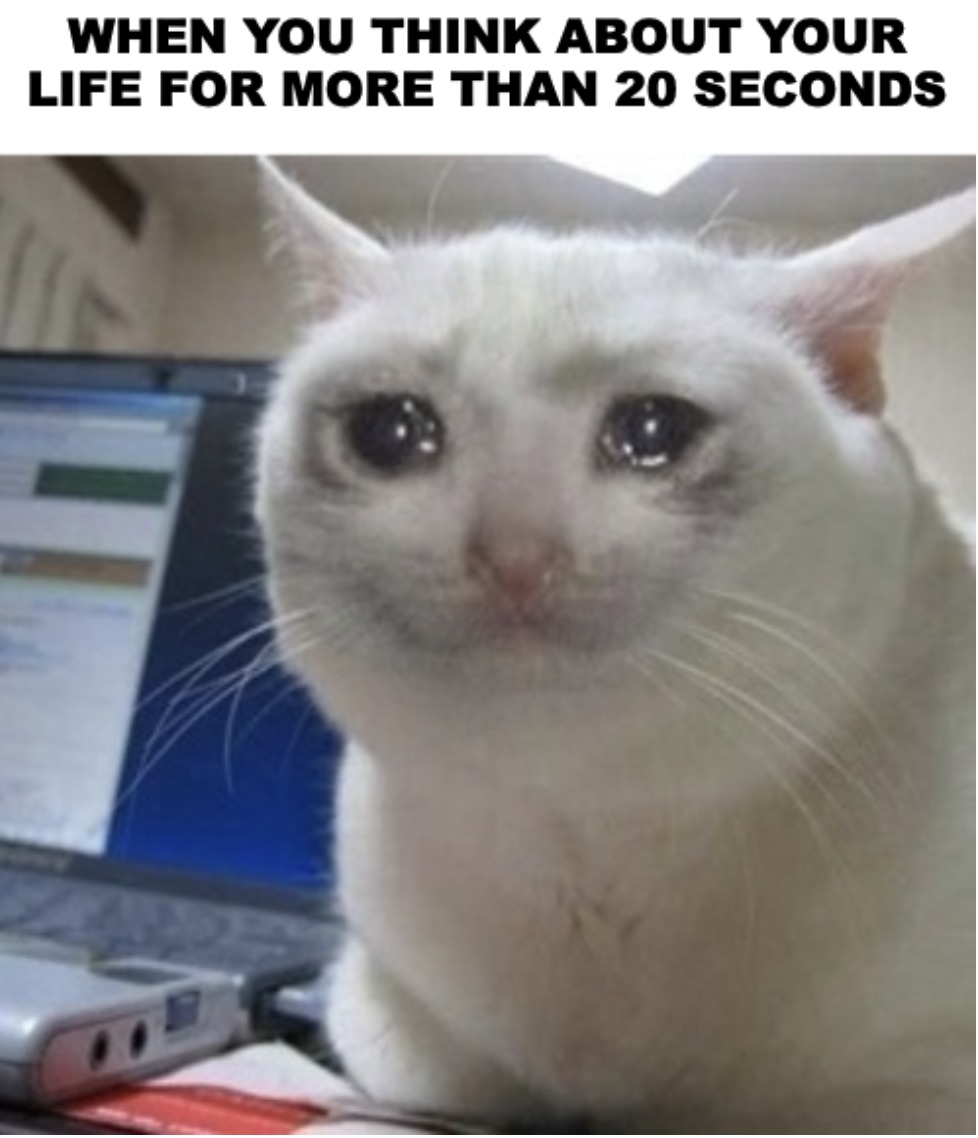 i'm the crying cat - meme