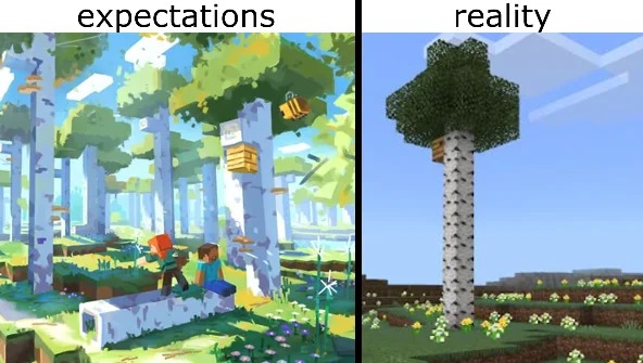 Minecraft expectations vs reality - meme