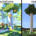 Minecraft expectations vs reality