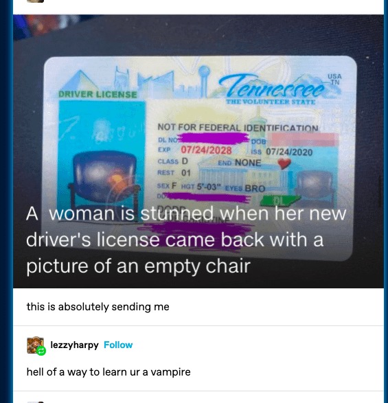 Vampire driver's license - meme
