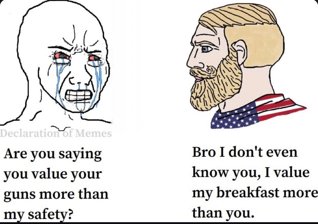 ﻿DeclarationOf Memes Are you saying Bro I don’t even you value your know you, I value guns more than my breakfast more my safetyz thanyou: