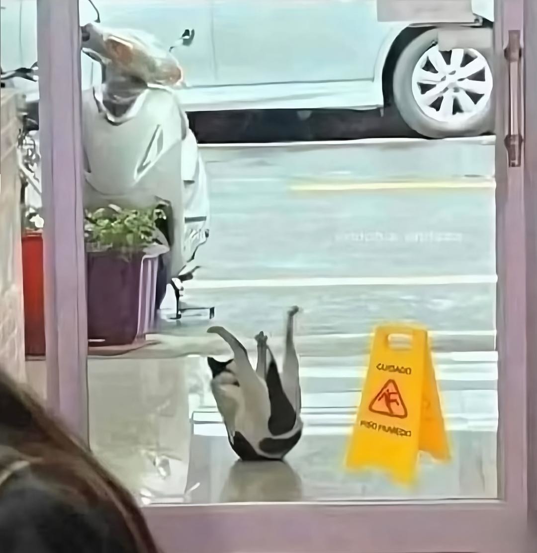 Ele não vio a placa - meme