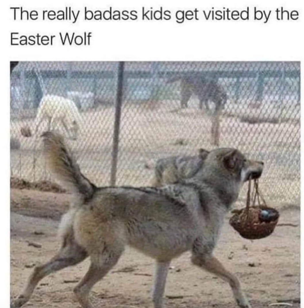 Easter Wolf gives best gifts - meme