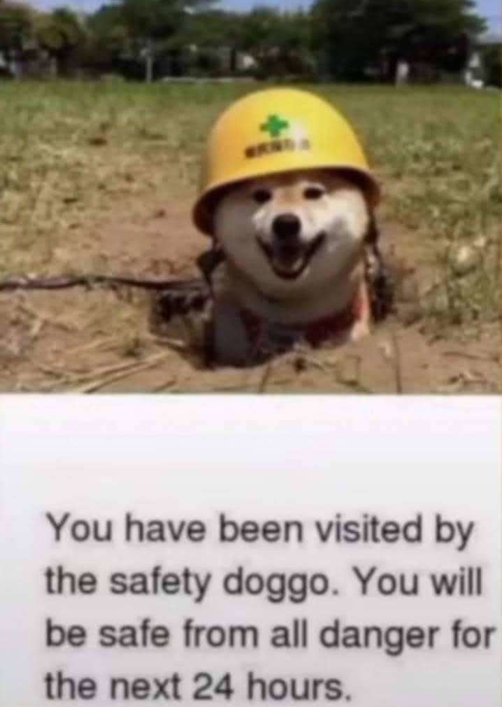 Safety first - meme
