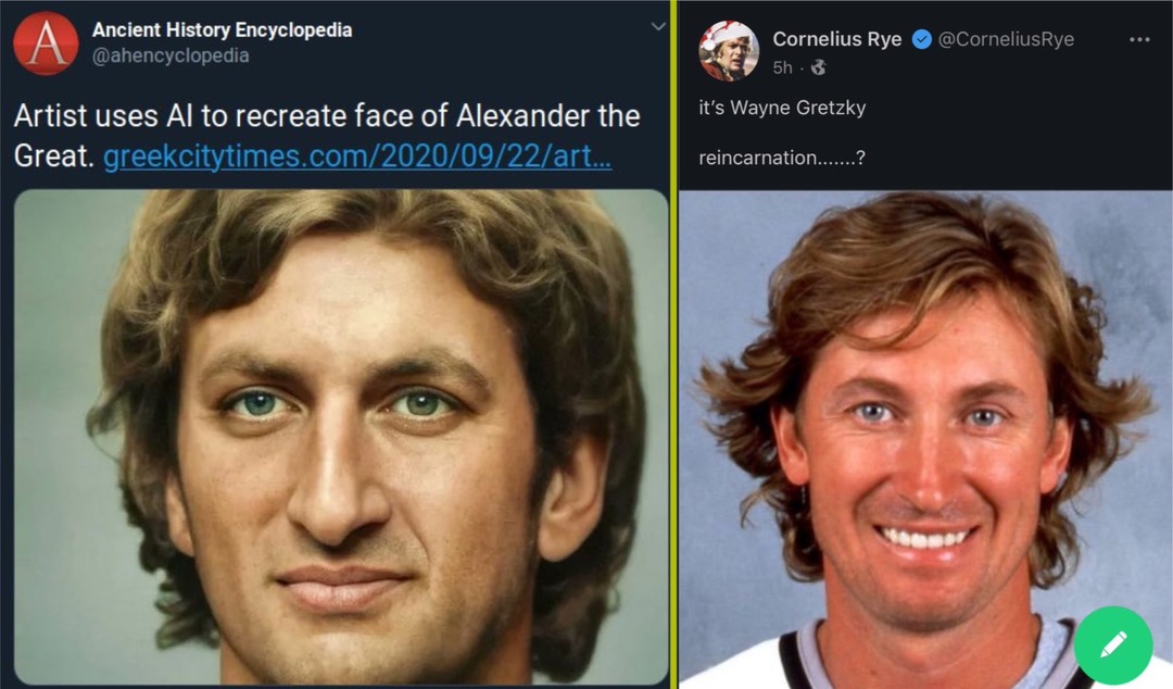 dongs in a face - meme