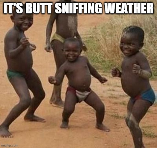 butt sniffing weather - meme