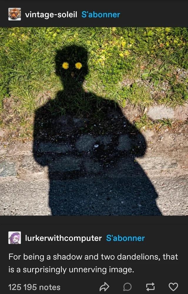 Two dandelions and a shadow. Why does this feel ominous? - meme