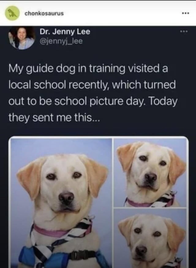 When your guide dog becomes yearbook MVP - meme