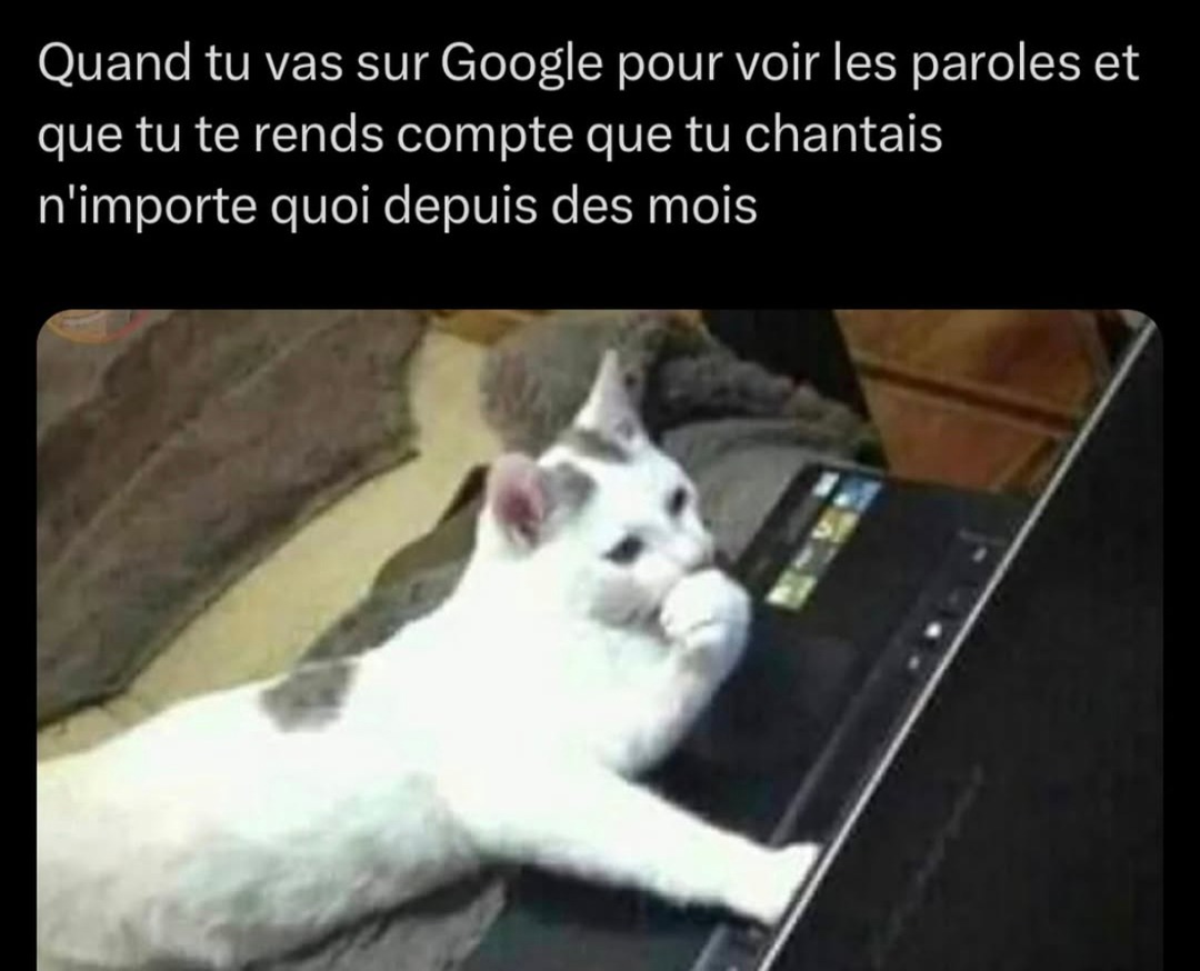 Tu check les paroles sur Google et tu réalises que t’as tout faux - meme