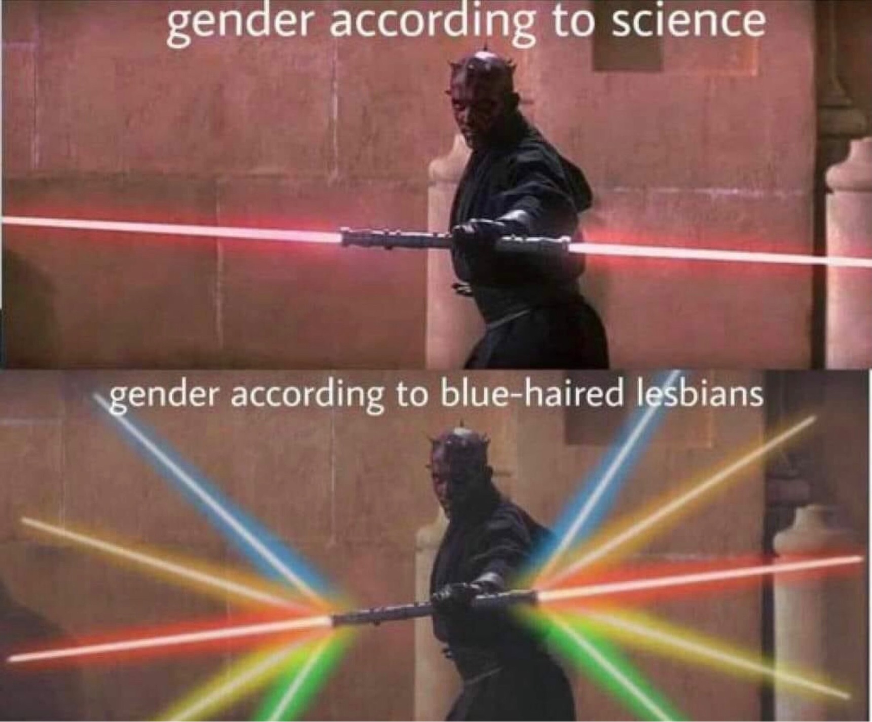 Oh ThErE’s MoRe GeNdErS tHaN tHaT - meme