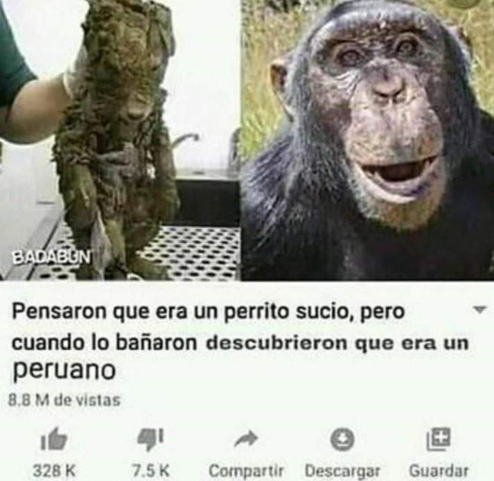 Peruanodroider - meme
