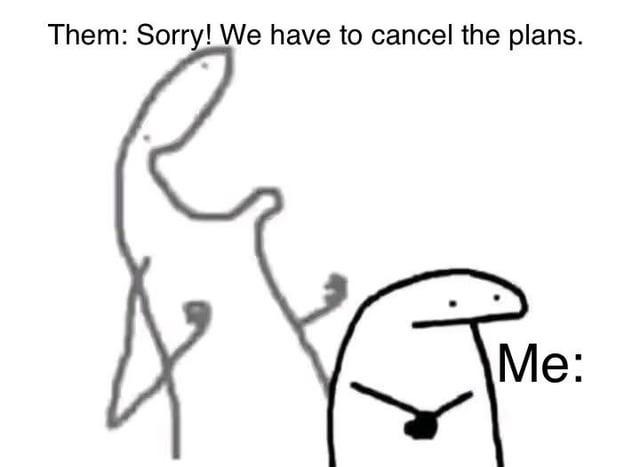 Them: sorry we have to cancel Me: absolutely devastated (not at all) - meme
