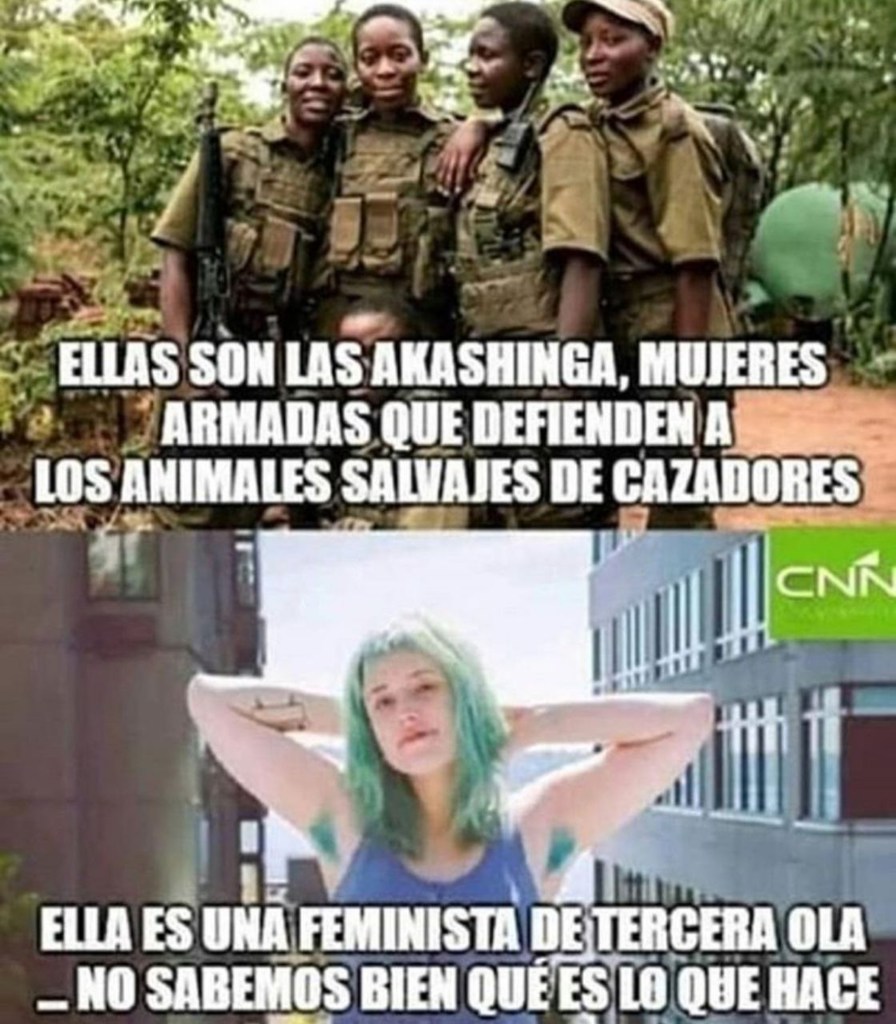 MALDITAS FEMINISTAS - meme