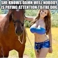 commented item thumbnail