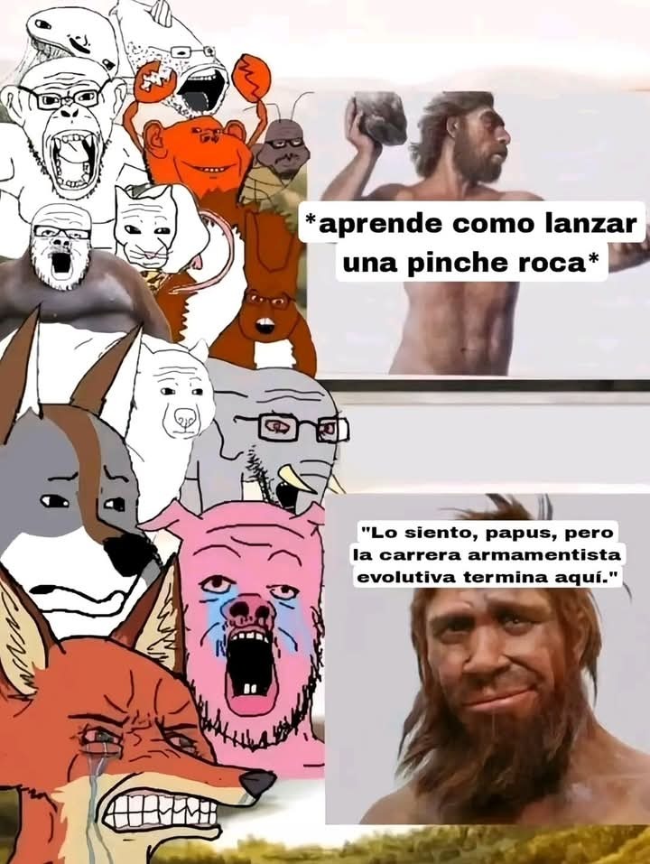 XD - meme