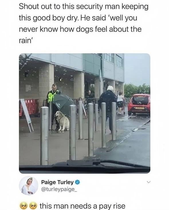 Security guy shielding the good boy from rain deserves a raise - meme