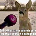 Interview with a deer