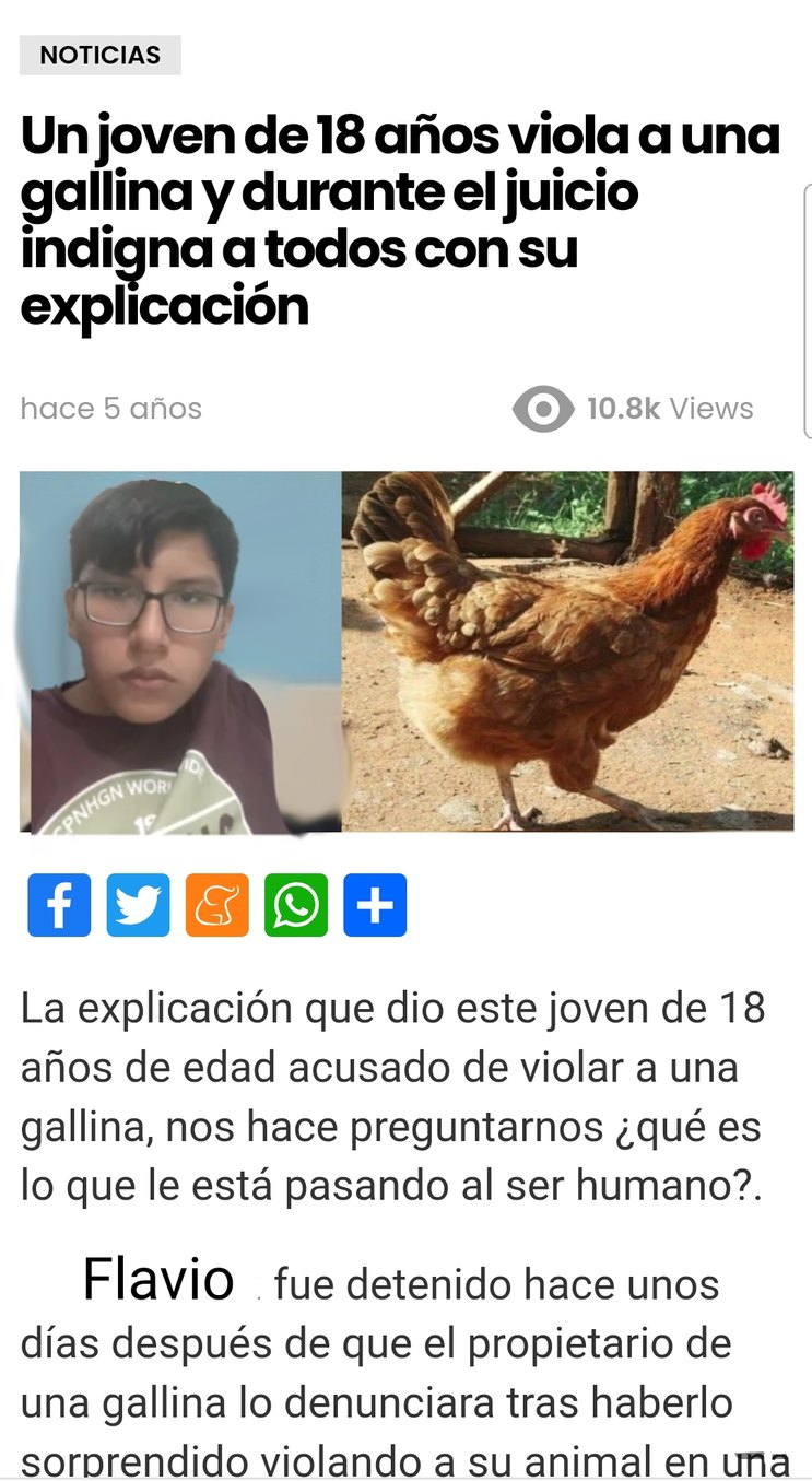 Flavio el violador de gallinas - meme