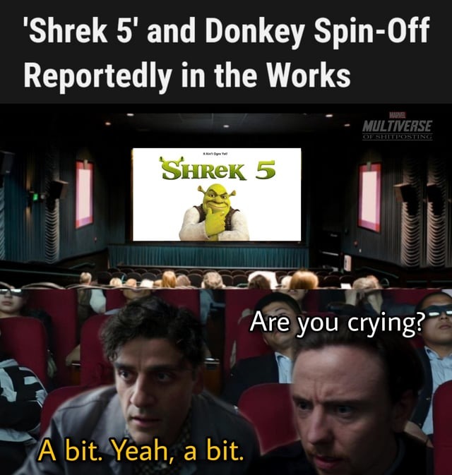 Shrek 5 and Donkey Spin-off in the works - meme