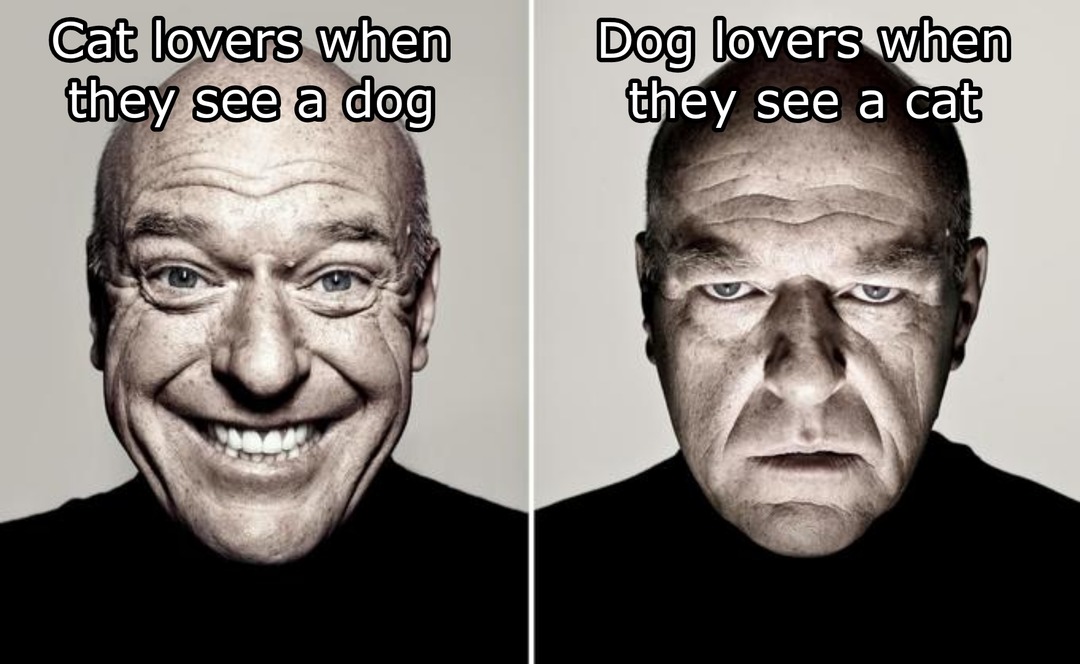 Cat Lovers vs Dog Lovers