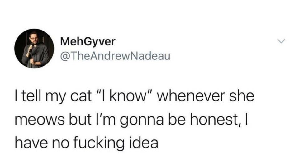 I have 8 cats so i can relate - meme