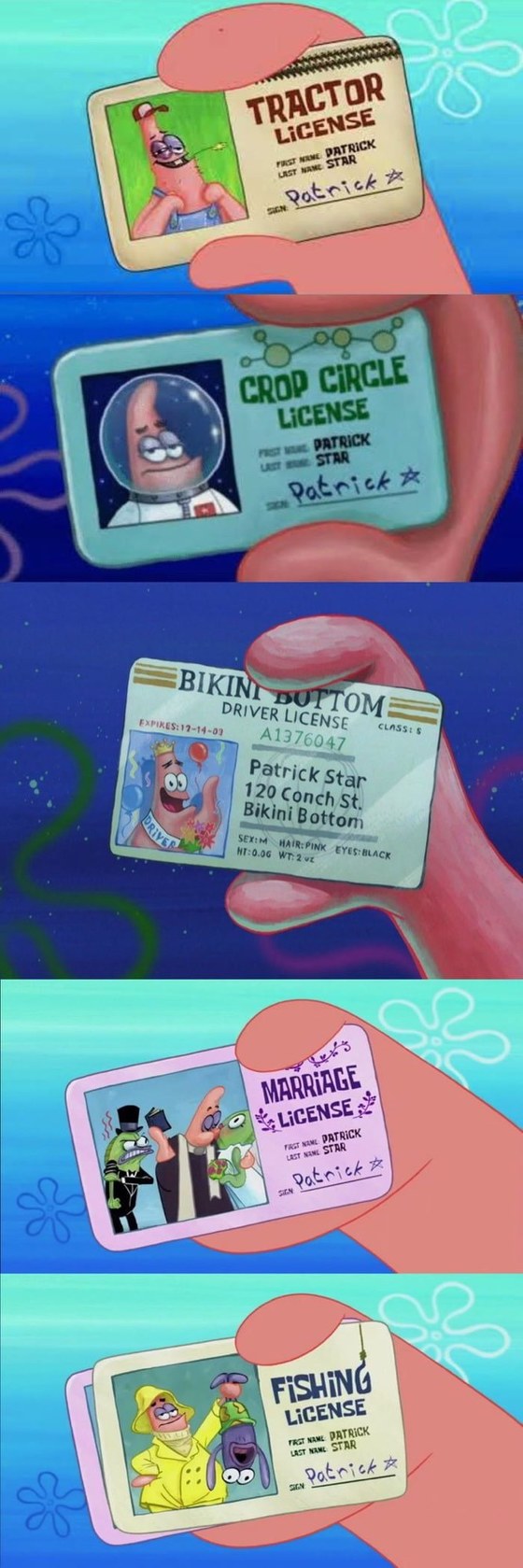 Patrick has a license for everything. - meme