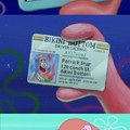 Patrick has a license for everything.