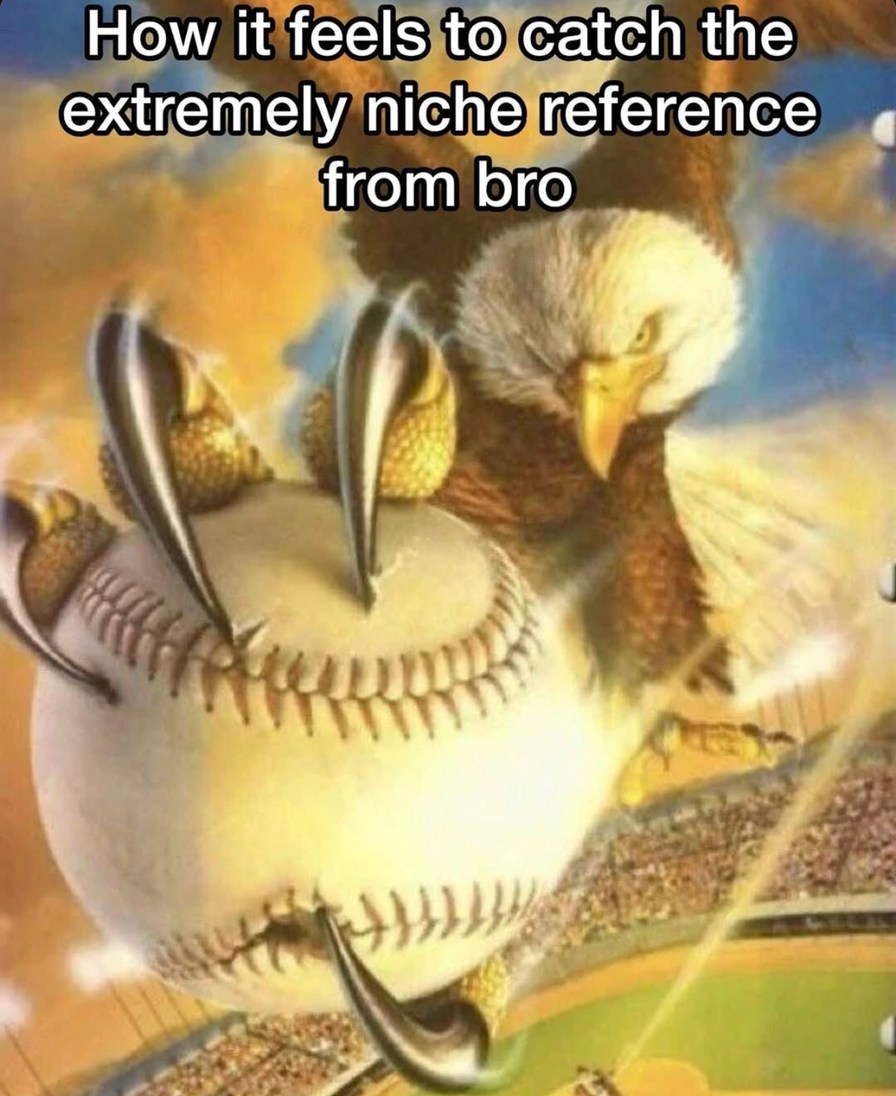 Catching a super niche reference like it's an elite gamer achievement - meme