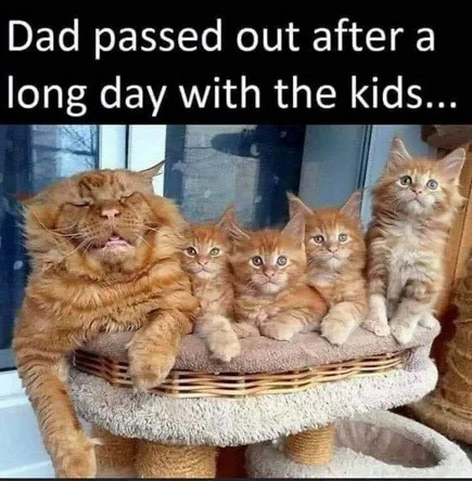 Dad tapped out mid-playtime like he hit a boss fight - meme