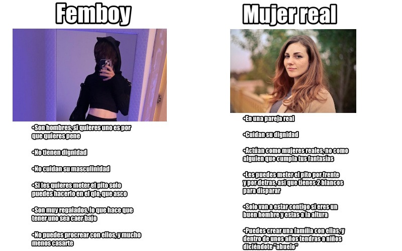 Mujeres >>>>>>> Femboys - meme